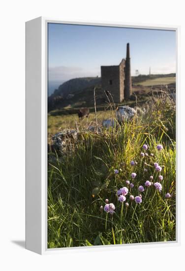 Old Tin Mine Workings, Botallack, Pendeen,Cornwall, England-Paul Harris-Framed Premier Image Canvas