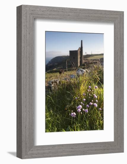 Old Tin Mine Workings, Botallack, Pendeen,Cornwall, England-Paul Harris-Framed Photographic Print