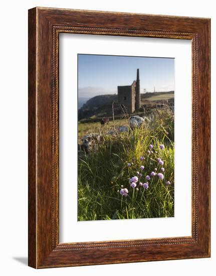 Old Tin Mine Workings, Botallack, Pendeen,Cornwall, England-Paul Harris-Framed Photographic Print