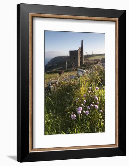 Old Tin Mine Workings, Botallack, Pendeen,Cornwall, England-Paul Harris-Framed Photographic Print