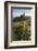 Old Tin Mine Workings, Botallack, Pendeen,Cornwall, England-Paul Harris-Framed Photographic Print