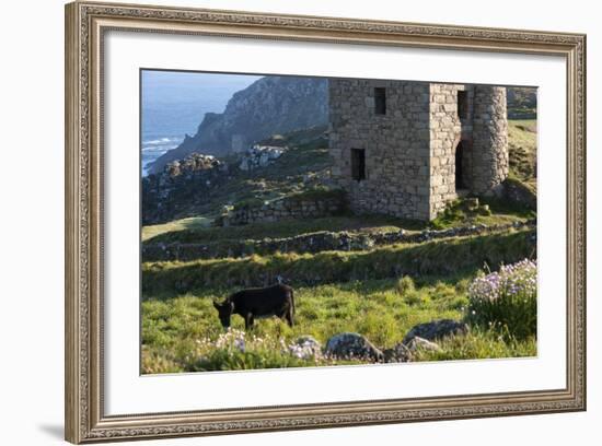 Old Tin Mine Workings, Botallack, Pendeen,Cornwall, England-Paul Harris-Framed Photographic Print