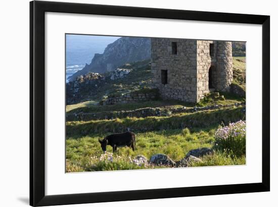 Old Tin Mine Workings, Botallack, Pendeen,Cornwall, England-Paul Harris-Framed Photographic Print