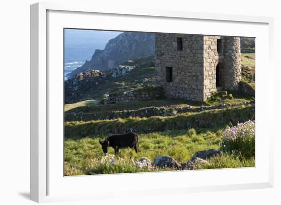 Old Tin Mine Workings, Botallack, Pendeen,Cornwall, England-Paul Harris-Framed Photographic Print