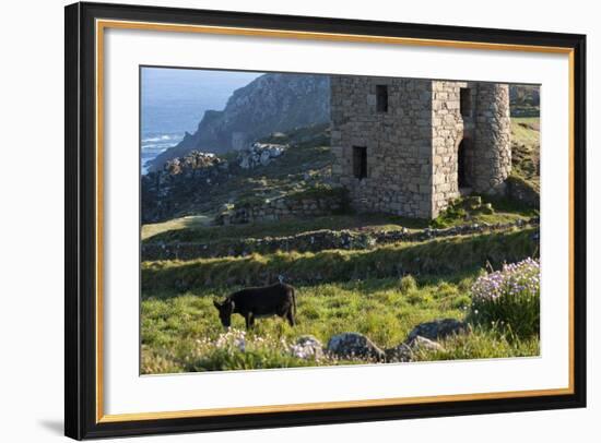 Old Tin Mine Workings, Botallack, Pendeen,Cornwall, England-Paul Harris-Framed Photographic Print