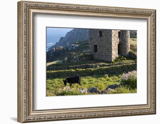 Old Tin Mine Workings, Botallack, Pendeen,Cornwall, England-Paul Harris-Framed Photographic Print