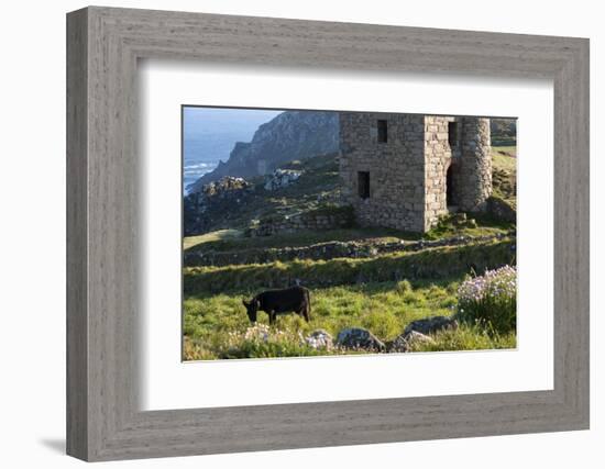 Old Tin Mine Workings, Botallack, Pendeen,Cornwall, England-Paul Harris-Framed Photographic Print