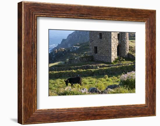 Old Tin Mine Workings, Botallack, Pendeen,Cornwall, England-Paul Harris-Framed Photographic Print