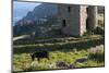 Old Tin Mine Workings, Botallack, Pendeen,Cornwall, England-Paul Harris-Mounted Photographic Print