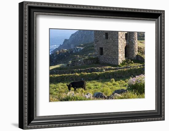 Old Tin Mine Workings, Botallack, Pendeen,Cornwall, England-Paul Harris-Framed Photographic Print