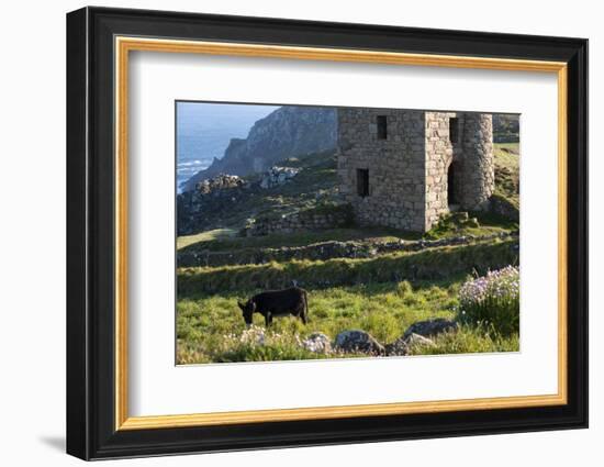 Old Tin Mine Workings, Botallack, Pendeen,Cornwall, England-Paul Harris-Framed Photographic Print