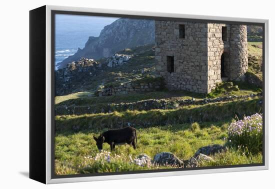 Old Tin Mine Workings, Botallack, Pendeen,Cornwall, England-Paul Harris-Framed Premier Image Canvas