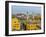 Old Town and Cathedral, elevated view, Lima, Peru, South America-Karol Kozlowski-Framed Photographic Print