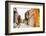 Old Town, Cartegena, Colombia, South America-Laura Grier-Framed Photographic Print