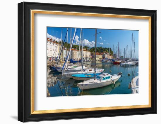 Old Town Harbour, Piran, Primorska, Slovenian Istria, Slovenia, Europe-Alan Copson-Framed Photographic Print