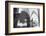 Old Town in Krakow-Tashka-Framed Photographic Print