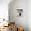 Old Town, Lagos, Algarve, Portugal, Europe-Jeremy Lightfoot-Photographic Print displayed on a wall