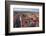 Old Town of Gdansk, Gdansk, Pomerania, Poland, Europe-Hans-Peter Merten-Framed Photographic Print