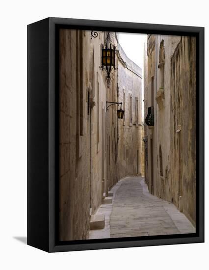 Old Town of Mdina, Malta, Mediterranean, Europe-Hans Peter Merten-Framed Premier Image Canvas