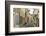 Old Town of Quillan, Languedoc, France, Europe-Tony Waltham-Framed Photographic Print