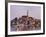 Old Town of Rovinj-Danny Lehman-Framed Photographic Print