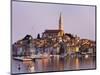 Old Town of Rovinj-Danny Lehman-Mounted Photographic Print