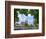 Old Town Skyline with St. Peter's Cathedral and Danube River, Regensburg, Germany-Miva Stock-Framed Photographic Print