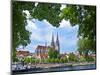 Old Town Skyline with St. Peter's Cathedral and Danube River, Regensburg, Germany-Miva Stock-Mounted Photographic Print