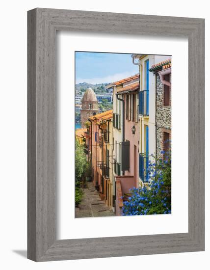 Old Town Street, Collioure, Languedoc-Roussillon, France-Stefano Politi Markovina-Framed Photographic Print