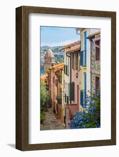 Old Town Street, Collioure, Languedoc-Roussillon, France-Stefano Politi Markovina-Framed Photographic Print