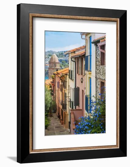 Old Town Street, Collioure, Languedoc-Roussillon, France-Stefano Politi Markovina-Framed Photographic Print