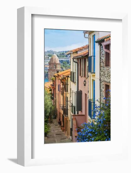 Old Town Street, Collioure, Languedoc-Roussillon, France-Stefano Politi Markovina-Framed Photographic Print