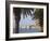 Old Town Through Palm Trees, Dubrovnik, Croatia, Europe-Martin Child-Framed Photographic Print