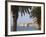 Old Town Through Palm Trees, Dubrovnik, Croatia, Europe-Martin Child-Framed Photographic Print