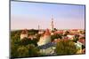 Old Town view from Toompea Hill, a Unesco World Heritage Site. Tallinn, Estonia-Mauricio Abreu-Mounted Photographic Print