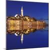 Old Town with Cathedral of St. Euphemia Reflecting in the Water at Night, Istria, Croatia, Europe-Markus Lange-Mounted Photographic Print