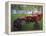 Old Tractors, Chippokes Plantation State Park, Virginia, USA-Charles Gurche-Framed Premier Image Canvas