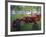 Old Tractors, Chippokes Plantation State Park, Virginia, USA-Charles Gurche-Framed Photographic Print