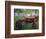 Old Tractors, Chippokes Plantation State Park, Virginia, USA-Charles Gurche-Framed Photographic Print