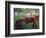 Old Tractors, Chippokes Plantation State Park, Virginia, USA-Charles Gurche-Framed Photographic Print