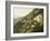 Old Trail to Mount Wilson, Pasadena, California, 1900-American School-Framed Giclee Print