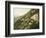 Old Trail to Mount Wilson, Pasadena, California, 1900-American School-Framed Giclee Print