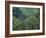 Old Train Trestle, Hiawatha Bike Trail, Idaho, USA-Brent Bergherm-Framed Photographic Print