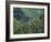 Old Train Trestle, Hiawatha Bike Trail, Idaho, USA-Brent Bergherm-Framed Photographic Print