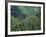 Old Train Trestle, Hiawatha Bike Trail, Idaho, USA-Brent Bergherm-Framed Photographic Print