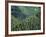 Old Train Trestle, Hiawatha Bike Trail, Idaho, USA-Brent Bergherm-Framed Photographic Print