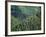 Old Train Trestle, Hiawatha Bike Trail, Idaho, USA-Brent Bergherm-Framed Photographic Print