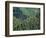 Old Train Trestle, Hiawatha Bike Trail, Idaho, USA-Brent Bergherm-Framed Photographic Print