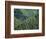 Old Train Trestle, Hiawatha Bike Trail, Idaho, USA-Brent Bergherm-Framed Photographic Print