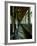 Old Train-Nathan Wright-Framed Photographic Print